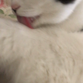 微妙な…の画像