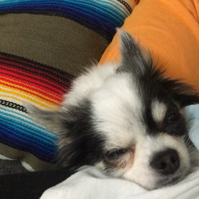 1か月経ちましたの画像