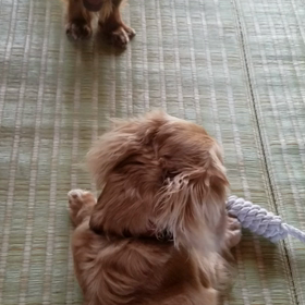 ☆ムービー☆の画像