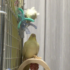 痛いですの画像