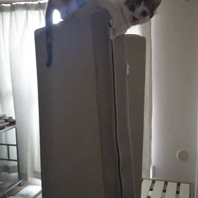 バランス～いいねーの画像