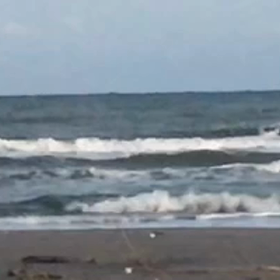 今朝の波乗りから、、、自撮り　　その1の画像