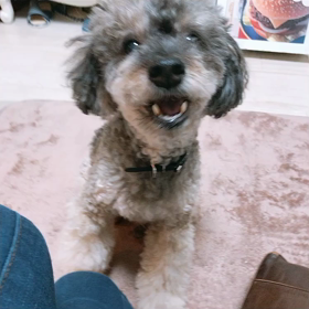 元気でよかったの画像