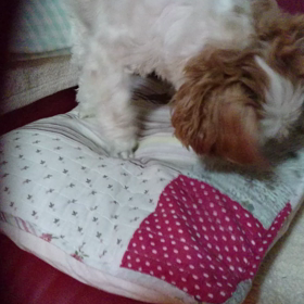 そらのこだわりの画像