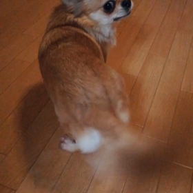 おかえり～✨の画像