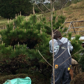 猪名川農業女子PJの画像