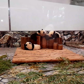 ☆たまらん！！.ﾟ+.(´∀｀*).+ﾟ.☆の画像