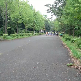 9月21日 100mBグループ⑧の画像