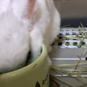 おいしい～～～の画像