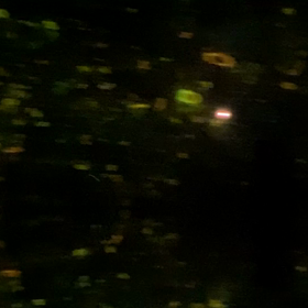 チームラボプラネッツin豊洲　後半の画像