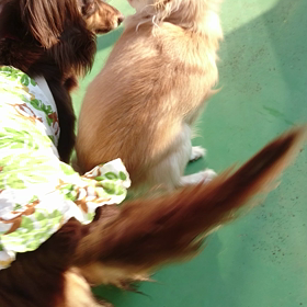 仲良しな二人の画像