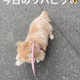 今日のリハビリ~終始ご機嫌さんの画像