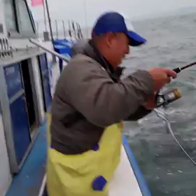 昨日のヒラマサムービーの画像