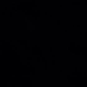 鈴虫の鳴き声？の画像