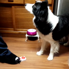 正解は？の画像