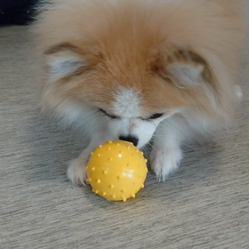 7月14日 今日はゼリーの日の画像