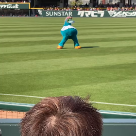 天気はいいんじゃがカープは寒いの画像