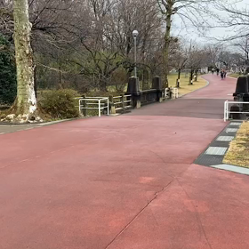 多摩湖駅伝練習 男子ペース走①ゴールの画像