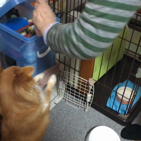 どれにしょうかなぁーの画像