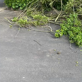 すげーよな！！の画像