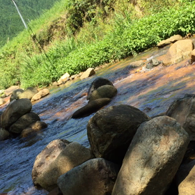 五感を働かせる・自然治癒力アップの画像