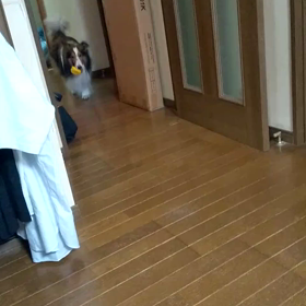 ガーガーバードの画像