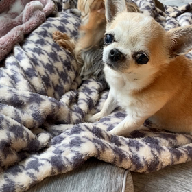 自己満足な看護師さん(･･;)の画像