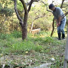 ゆっくり、ゆっくりの画像