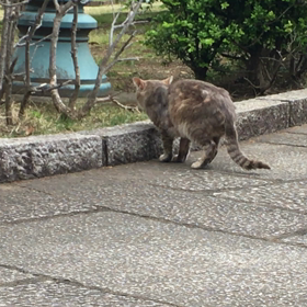 休みの日の楽しみの画像