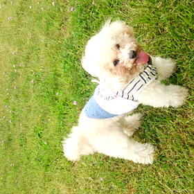 まみちゃん完全復活！の画像