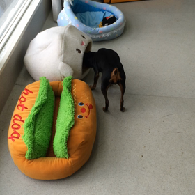 ♪プレイルーム動画♪の画像