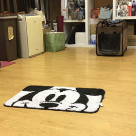 どっちでしょ？の画像