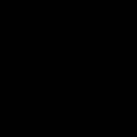 チューイップのたなはの歌の画像