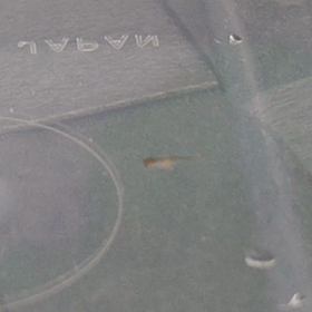 メダカの赤ちゃん産まれたよの画像