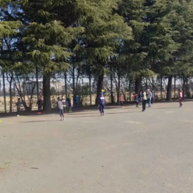 4月2日 バランス④の画像