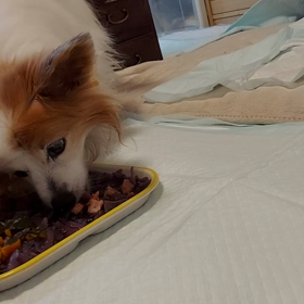 初めての動画UP！の画像