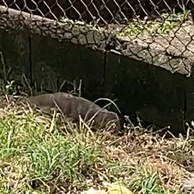 English Diary 7th March 2021の画像