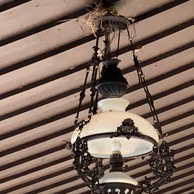 ギンパラ？の画像