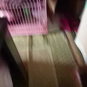 バトル勃発の画像