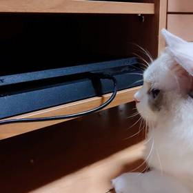 不思議だね(笑)の画像