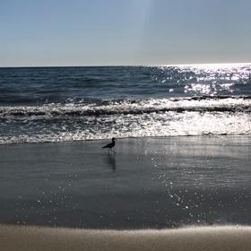 ストレス  を感じる時、とセルフケア。の画像