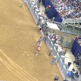 闘牛  in   ヒューストン（アメリカ） ☆★の画像