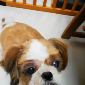 スッキリの画像