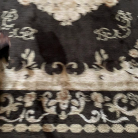 シェリストレス発散の画像