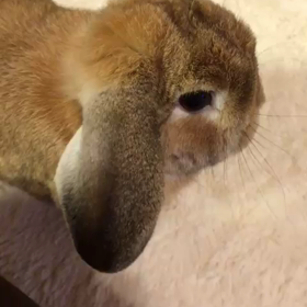 かわいぃ♡早く会いたい♡の画像