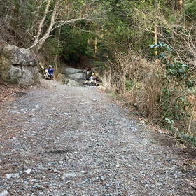 いつものお山の画像