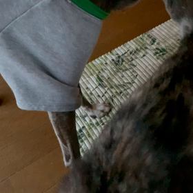 朝のイチャつきの画像