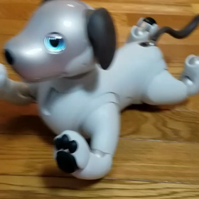 アイボ犬平泳ぎの画像