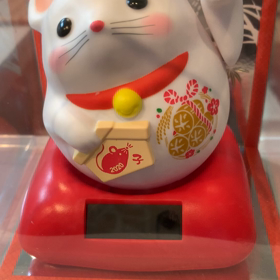 見てるだけで元気がでるわ^_^の画像