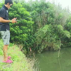 イケテるmovies！の画像